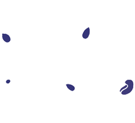 Floating Nuts